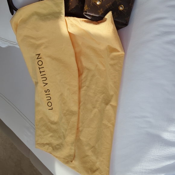 Louis Vuitton Metis hobo bag (discontinued) - Picture 6 of 16